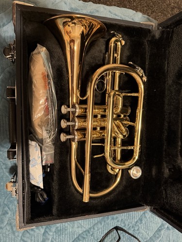 Jupiter carnegie cornet - carnegie, xl
