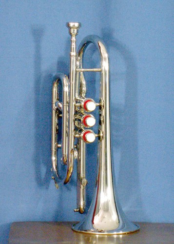Cornet sale new - sale,